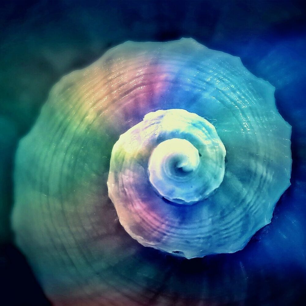 The reconnective healing
